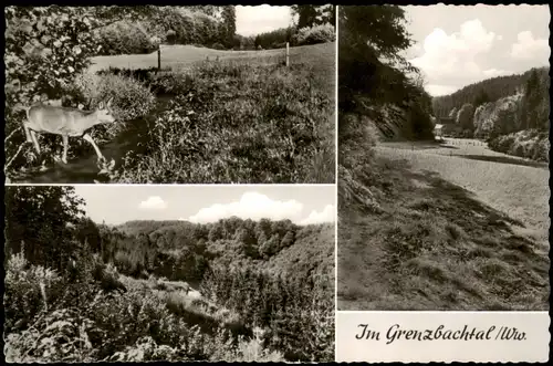 .Rheinland-Pfalz Westerwald (Allgemein) Grenzbachtal Mehrbildkarte 1961