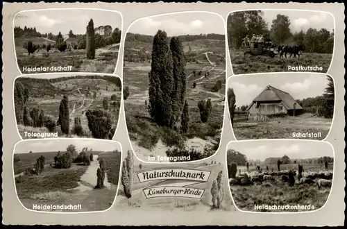 .Niedersachsen Mehrbildkarte Naturschutzpark Lüneburger Heide 1961