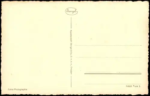 Ansichtskarte Hildesheim 1000 jähriger Rosenstock im Domhof 1950