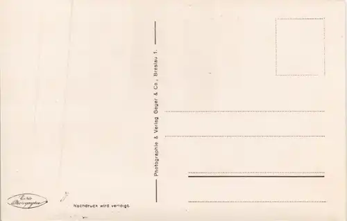 Ansichtskarte .Mecklenburg-Vorpommern Möwen am Meer 1930