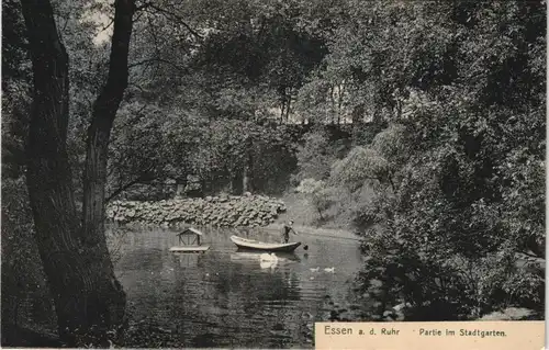 Ansichtskarte Südviertel-Essen (Ruhr) Partie im Stadtgarten. 1909