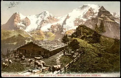 Lauterbrunnen Mönch (4105 m) und Jungfrau (4166 m) Schweizer Alpen Berge 1910