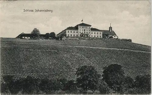 Ansichtskarte Oestrich-Winkel Schloss Johannisberg, Weinberg 1906