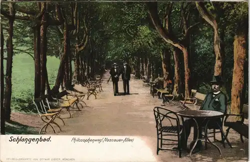 Ansichtskarte Schlangenbad Philosophenweg (Nassauer-Allee) 1908