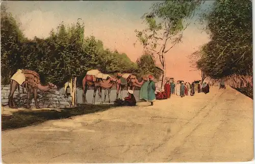 Postcard Kairo القاهرة Straße von Kairo nach den Pyramiden 1912