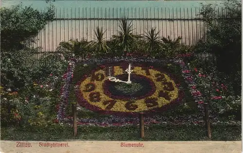 Ansichtskarte Zittau Stadtgärtnerei, Blumenuhr - colorierte AK 1909