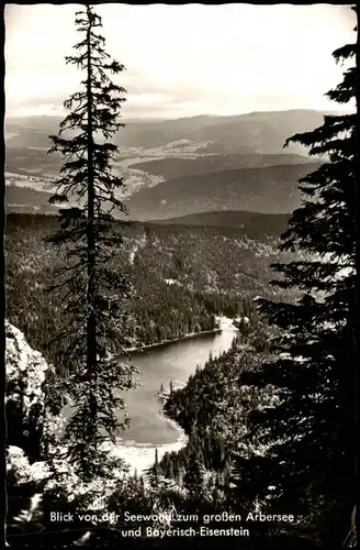 Ansichtskarte Bayerisch Eisenstein Blick zum großen Arbersee 1965