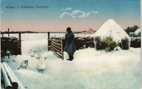Postcard Polen Polska Polen / Polska - Gänse, Mann, Bauernhof 1917