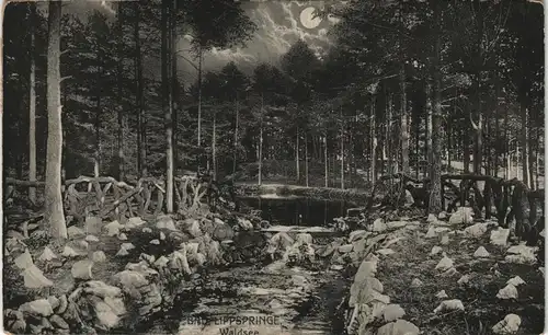 Ansichtskarte Bad Lippspringe Waldsee bei Mondschein 1912