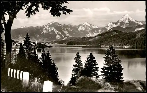 Ansichtskarte .Bayern Am schönen Weißensee 1963