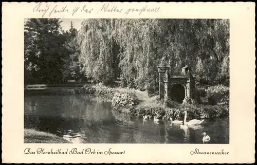Ansichtskarte Bad Orb Partie am Schwanenweiher 1953