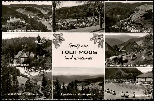 Todtmoos Mehrbildkarte mit Ortsansichten u.a. Schwimmbad uvm. 1958