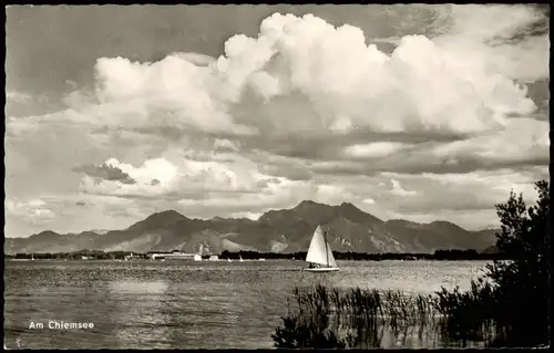 Ansichtskarte Chiemsee Chiemsee (See) Panorama mit Segelboot 1960