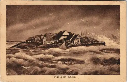 Ansichtskarte Hallig Hooge Hallig im Sturm 1922