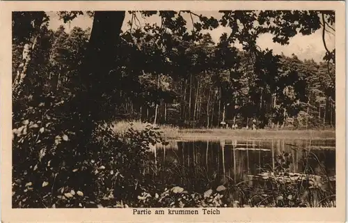 Ansichtskarte Ochsensaal-Dahlen Partie am krummen Teich 1919