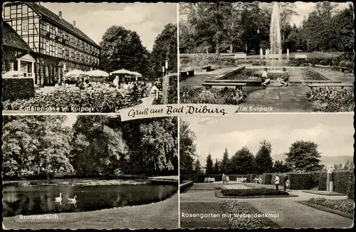 Bad Driburg Mehrbildkarte mit Kurpark, Brunnenteich, Rosengarten Weber-Denkmal 1960