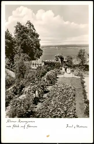 Insel Mainau-Konstanz Kleiner Rosengarten mit Blick auf Birnau 1958