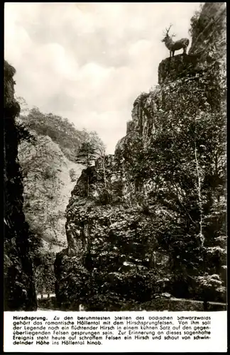 Ansichtskarte Hirschsprung-Breitnau Hirschsprung Höllental Schwarzwald 1960
