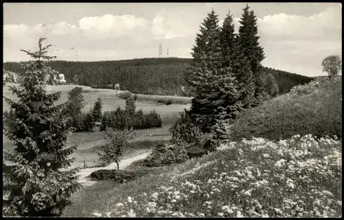 Hahnenklee-Bockswiese-Goslar Umland-Ansicht mit Bocksberg Oberharz 1964