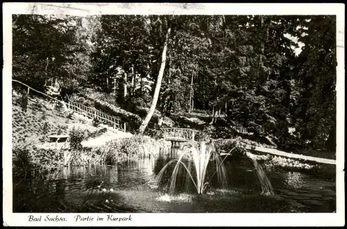 Ansichtskarte Bad Sachsa Partie im Kurpark 1960