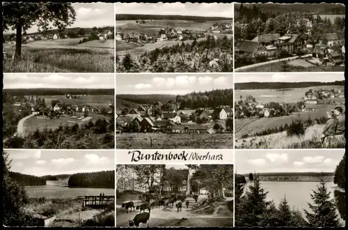 Ansichtskarte Buntenbock MB Stadtansichten 1961  gel. LANDPOSTSTEMPEL