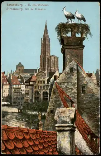 CPA Straßburg Strasbourg Storchennest, Nid de Cicogne 1910