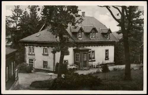 Bärenfels (Erzgebirge)-Altenberg (Erzgebirge) Partie am Haus Waldfrieden 1954