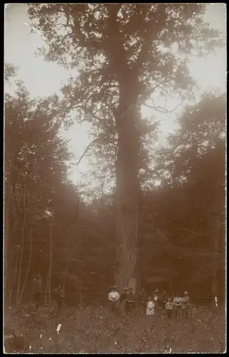 Menschen Soziales Leben Gruppenfoto einer Gesellschaft im Wald 1920