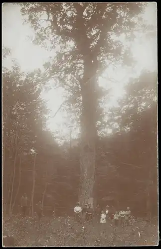 Ansichtskarte  Menschen Soziales Leben Gruppenfoto Personen am Waldrand 1920