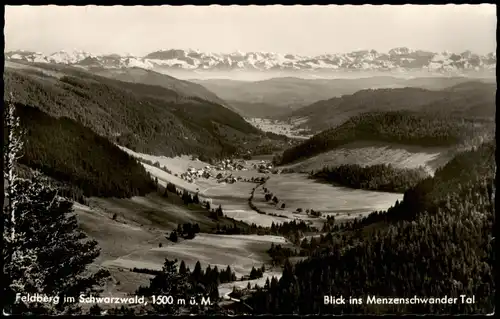 Feldberg (Schwarzwald) Feldberg Schwarzwald Blick ins Menzenschwander Tal 1960