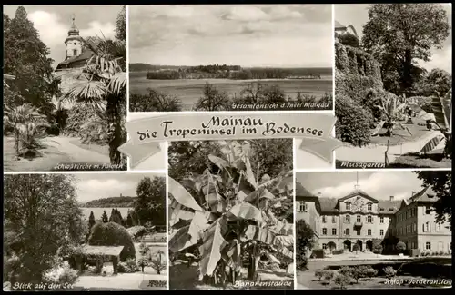 Insel Mainau-Konstanz Mehrbildkarte mit Schloß-Kirche, Insel-Ansichten 1959