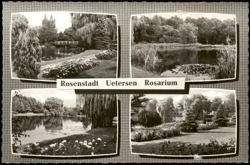 Ansichtskarte Uetersen Rosarium Mehrbildkarte mit 4 Foto-Ansichten 1967