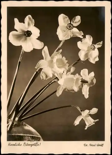 Ostern / Easter Einfachheit Schwarz/Weiß Blumen 1938  Stempel Essen Bredeney