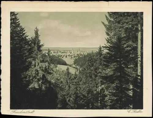 Ansichtskarte Freudenstadt Blick durch den Wald auf die Stadt 1933