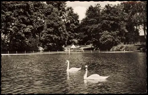 Ansichtskarte Bad Dürrheim Partie am Salinensee 1960