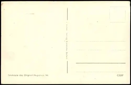 Feldberg (Schwarzwald) Feldberg Schwarzwald Wiesental Enzian-Blüte 1955