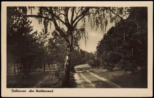 Ansichtskarte Falkensee Falkensee Umland-Ansicht Partie Am Waldesrand 1954