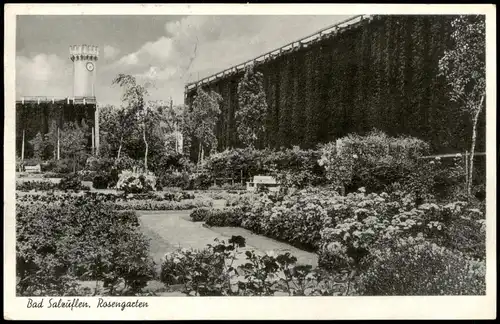 Ansichtskarte Bad Salzuflen Partie im Rosengarten, Park-Anlagen 1955