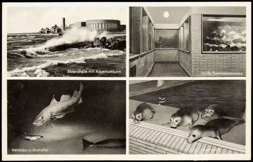 Wilhelmshaven   Foto-Ansichten Strandhalle mit Seewasser-Aquarium 1955