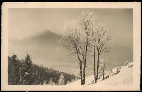Ansichtskarte Salzburg Gaisberg im Winter, Stimmungsbild 1932
