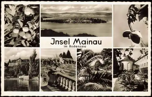 Ansichtskarte Konstanz Insel Mainau Bodensee Mehrbildkarte 7 Ansichten 1960