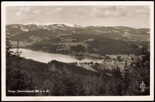 Ansichtskarte Titisee Panorama-Ansicht 1953
