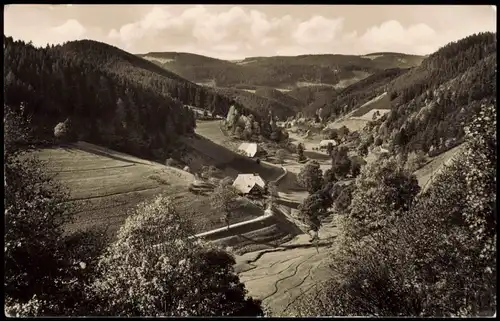 .Baden-Württemberg Schwarzwald (Mittelgebirge) Black-Forest-Views 1957