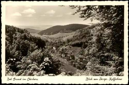 Ansichtskarte Bad Grund (Harz) Umland-Ansicht; Harz Panorama 1951