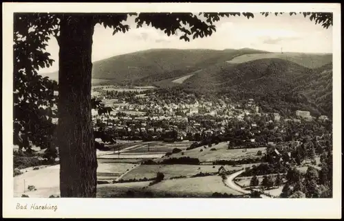 Ansichtskarte Bad Harzburg Panorama-Ansicht 1985/1960