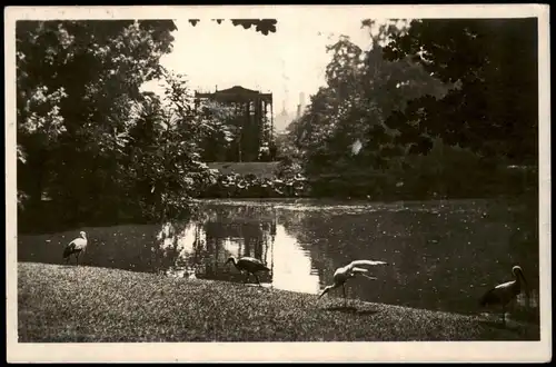 Ansichtskarte Innere Stadt-Wien Stadtpark 1932