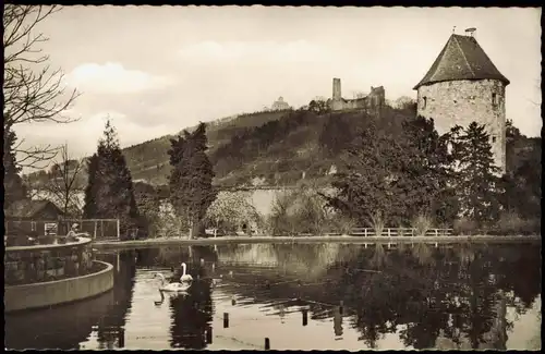 Ansichtskarte Weinheim (Bergstraße) Schlosspark 1960