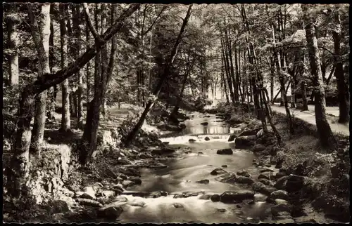 Ansichtskarte Bad Wildbad Schwarzwald Partie An der Enz 1960