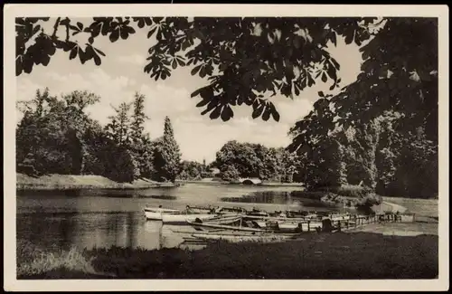 Wörlitz-Oranienbaum-Wörlitz Wörlitzer Park, Gondelstadion 1955