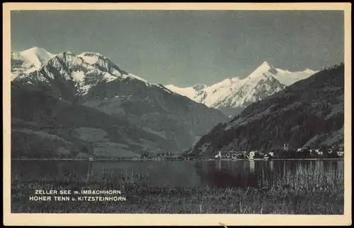Ansichtskarte Zell am See HOHER TENN U, KITZSTEINHORN 1924